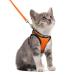 rabbitgoo cat dishes cat linen set cat dishes with leash dishes cats outbreakingly adjustable soft with reflective stripes for cats kitten cat harness leash light orange s s (1 Pack) bright orange