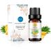 Pineapple Essential Oil 100% Pure Oganic Plant Natrual Flower Essential Oil for Diffuser Message Skin Care - 10ML - Buy Online on GoSupps.com