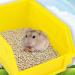 POPETPOP Hamster Sand Bathroom Large-Chinchilla Dust Bath Container - Buy Online on GoSupps.com
