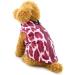 Shop Smalllee Lucky Store Waterproof Dog Jacket & Coat for Small Dogs & Cats - Magenta Winter Wear for Chihuahua Shih Tzu Mini Size (Chest: 36cm Back: 27cm) - International Shipping Available - Buy Online on GoSupps.com