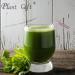 Plant Gift 100% Celery Powder 100G/3.25oz Non-GMO Powder No Filler No additives Natural Chinese Flour Adds Flavor and Taste Great Flavor for Drinks 2UK-PO0081 - Buy Online on GoSupps.com