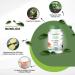 Fairvital | Bromelain 750mg - Highly dosed - VEGAN - 120 capsules - Pineapple Enzyme - Bromelain - Buy Online on GoSupps.com