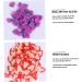 Housoutil 2400pcs 12 Fruit Sliced nail Art Accessories Nails Decoration Nail Decorations for Nail Art Nail Accessories Fruit Slices for Manicure Fruit Decor Resin Nail Decals Flowers - Buy Online on GoSupps.com
