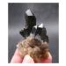 Crystal Natural Black Quartz Crystal Cluster Natural ore Sample Stone Crystal for Home Decoration Collection and Gift Draw yuebang Stone Mineral Specimen 80g-100g Black