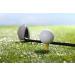 Crestgolf Professional 2 1/8 Deluxe Wood Golf Tees - 100pcs Mixed Color Set - Buy Online on GoSupps.com
