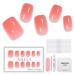 AILLSA Press On Nails - Fake Nails, Press On Nails Short, glue on nails, In 15 Sizes 37-Piece Set With Glue Grapefruit