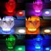 GOESWELL RGB LED Pool Lighting: Waterproof, Colour Changing, Remote Control - Perfect for Pools, Aquariums, Spas, and Festivals - Buy Online on GoSupps.com