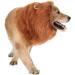 TOMSENN Dog Lion Mane - Realistic & Funny Costume Accessory for Medium to Large Dogs - Buy Online on GoSupps.com