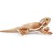 Zappi Co 100% Recycled Plush Bearded Dragon Toy - 34cm Soft Eco-Friendly Animal for Newborns - Buy Online on GoSupps.com