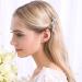 Uongeod Rhinestone Bridal Hair Clips - 2PCS Leaf Wedding Hairpin with Pearl Crystal, Gold Rhinestone Barrette (Silver) - Buy Online on GoSupps.com