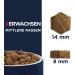 Eukanuba Dry Dog Food with Fresh Chicken for Medium Breeds | 3 kg Premium Nutrition for Adult Dogs - Buy Online on GoSupps.com
