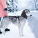 Comfortable Dog Neck Warmers & Ear Protection - Soothing Noise-Reducing Winter Gear for Small Dogs (Blue Gray) - Buy Online on GoSupps.com