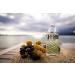 Rochas Secret de Rochas Oud Myst re Eau De Parfum 3.3 Fl Oz 3.3 Fl Oz (Pack of 1) - Buy Online on GoSupps.com