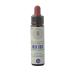 Rock Rose n 26 Fleur de Bach farmaflor 1 Flacon Comtpe Gouttes 10ml - Made in Italy