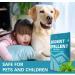 SUAVEC Rodent Repellent 8 Pack - Peppermint Oil Mouse and Rat Deterrent for House, RV, and Outdoor Use - Buy Online on GoSupps.com