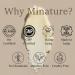 Miniature Body Butter | Vegan & Cruelty-Free | Enriched with Honey & Butters | Non-Greasy Moisturizer - 50g - Buy Online on GoSupps.com
