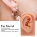 Flexible 3D Silicone Ear Model for Acupuncture Training | Reusable Soft Elastic Ear Piercing Model - International Shipping Available - Buy Online on GoSupps.com