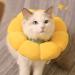 Nc Cats Sector Soft Collar - 2pcs Colorful Protective Neckwear for Dogs & Cats - Ideal for Puppies & Kittens - Comfortable & Durable - Buy Online on GoSupps.com