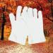 The Body Shop Moisturizing Gloves - Buy Online on GoSupps.com