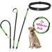 Leisengr n Jogging Line for Medium-Sized Dogs | Adjustable 125-175 cm | Freehand Belly Belt | Black - Perfect for Active Dog Owners - Buy Online on GoSupps.com
