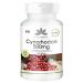 G lules de cynorrhodon - 500mg - hautement dos - v g talien - 180 g lules - avec ac rola | Warnke Vitalstoffe - Qualit des pharmacies allemandes