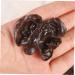 COOPHYA 15pcs Fake Vegetables Realistic Vegetables Faux Veggies Model Agarics Simulation Vegetables Agarics Props Lifelike Veggies Toy Decor Black Fungus Model Food Ornaments Pvc Dark Brown 5.00X4.20X1.00CM - Buy Online on GoSupps.com