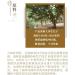 Pu-erh tea 2016 brown legend 357g Raw - Buy Online on GoSupps.com