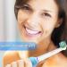 16-Piece Precision Brush Set for Oral-B Electric Toothbrushes - 8 White & 8 Black | Compatible Replacement Heads - Buy Online on GoSupps.com