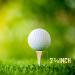 250 Pack Professional Bamboo Golf Tees 2-3/4 Inch - Biodegradable & Stronger Than Wood Tees for Less Friction - Buy Online on GoSupps.com
