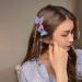 10 Pairs Tassel Butterflies Hair Clip Blue Pink Butterflies Hairpin Double Layer Fabric Butterfly Clips Flower Fairy Crown Flower Fairy Accessories for Beautiful Girls - Buy Online on GoSupps.com