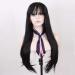 Hairpieces Women S Heat Resistant Synthetic Fiber Lace Front Wigs Long Straight Black Natural Hairline with Bangs Hair for Daily Party 838 Inches 18 Inch 10 Inch