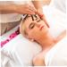 CLISPEED 4pcs Massager - Five Claws Spider Scalp Scrubber | Handheld Wenge Spa Tool for Relaxation & Stress Relief - International Shipping Available - Buy Online on GoSupps.com