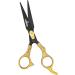 KINZIO Professional Hair Scissor - Stainless Steel Hair Cutting Shears for Salon Barbers - 6 inch - Buy Online on GoSupps.com