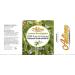 Artizen Lemon Eucalyptus Essential Oil - Pure & Natural 2oz Therapeutic Grade for Aromatherapy | Best Lemon Eucalyptus Oil - Buy Online on GoSupps.com