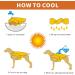 Shop MOSUCOURL Dog Cooling Vest | Summer Breathable Jacket for Outdoor Activities - Perfect for Hiking Training & Swimming (Yellow Size S) - Buy Online on GoSupps.com