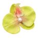 Phalaenopsis Flower Hair Clip Faux Silk Flower Design Hairpin Back Head Hair Claw Lightweight Stylish Accessory Yellow