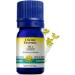 Dill Conventional 100ml - Buy Online on GoSupps.com