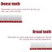 Dog Comb By Fearless Alpaca (Red) - Grooms Cats As Well - For Medium to Thick Coats - 8 Inch Length - Rounded Spine - Grooming Tool for Mats and Shedding - Buy Online on GoSupps.com