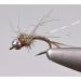 Region Fishing Tungsten Bead Rainbow Warrior Midge Nymph Fly | 12 Flies | Mustad Signature Hooks Assortment