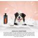 GROOM Professional Coat Revitalise Conditioner for Dogs - 450ml | Revitalizing & Shine Boosting Formula for Dry Fur - Buy Online on GoSupps.com