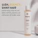 PHILIP B. Volumizing Collection Kit - Shampoo 7.4oz Conditioner 6oz & Comb | Detangling Kit for All Hair Types - Shop Internationally - Buy Online on GoSupps.com