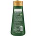 Kesh King Ayurvedic Shampooing anti-chute 300 ml Aloe & 21 herbes R duit la chute des cheveux sans paraben ayurv dique pour tous les types de cheveux pack familial avec Kajal 300 g (Lot de 1) - Buy Online on GoSupps.com