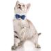 Personalized Breakaway Cat Collar with Bow Tie & Bell - Blue | Stainless Steel ID Tag Engraved | Name & Phone Number | 1 Pack - Buy Online on GoSupps.com