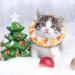 Kytpyi Halskrause Cat Collar - Adjustable Stain-Resistant Waterproof Cotton - Perfect for Cats & Small Dogs (17-27cm) - Buy Online on GoSupps.com