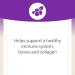 Natural Factors Vitamin C Chewable Wafers - 100% Natural Blueberry, Raspberry & Boysenberry - 500 mg, 180 Count - Buy Online on GoSupps.com