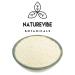 Naturevibe Botanicals Organic Quinoa Flour 2lbs - Non-GMO & Gluten Free - Protein Rich | Packaging May Vary - Buy Online on GoSupps.com