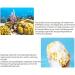 FIOERDTUIE Multi-functional Natural Sea Sponge Wide Application Easy To Clean Super Soft Natural Sea Sponges For Bathing - Buy Online on GoSupps.com