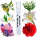 MIRIS No. 98 Inspired by Anais Anais Long-Lasting Perfume Oil for Women Roll-On Rollerball 0.34 Fl Oz / 10 ml Cach Anais Anais Inspired No. 98