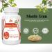 Logic Nutra Premium Mastic Gum 1000mg Digestive support - 120 Capsules - Buy Online on GoSupps.com