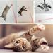 Cat Toys for Dog Chase and Catch Multi Pattern LED Pointer Light Interactive Kitten Toy Stainless Steel Mini LED Flashlight with USB Rechargeable Exercise Training Pet Funny Cat Stick - Buy Online on GoSupps.com